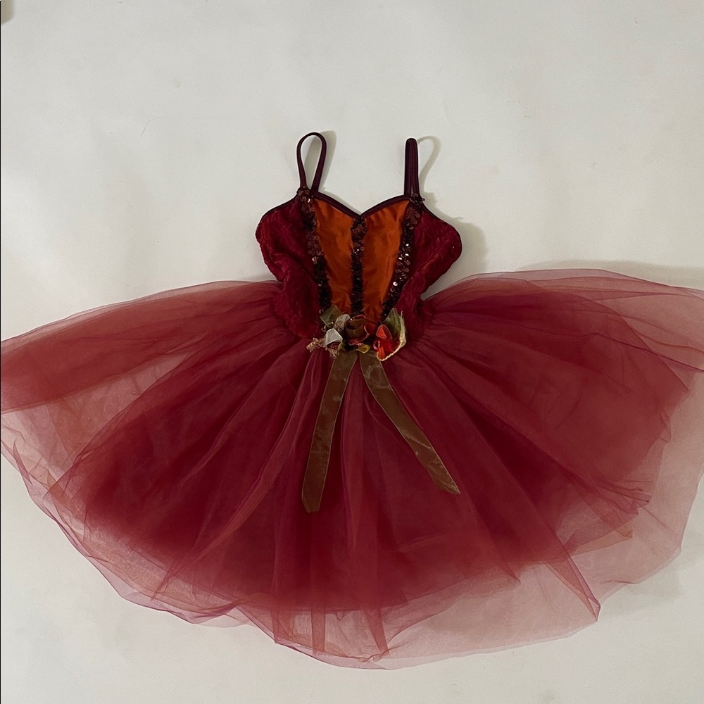 Charming Burgundy Kids Dance Costume